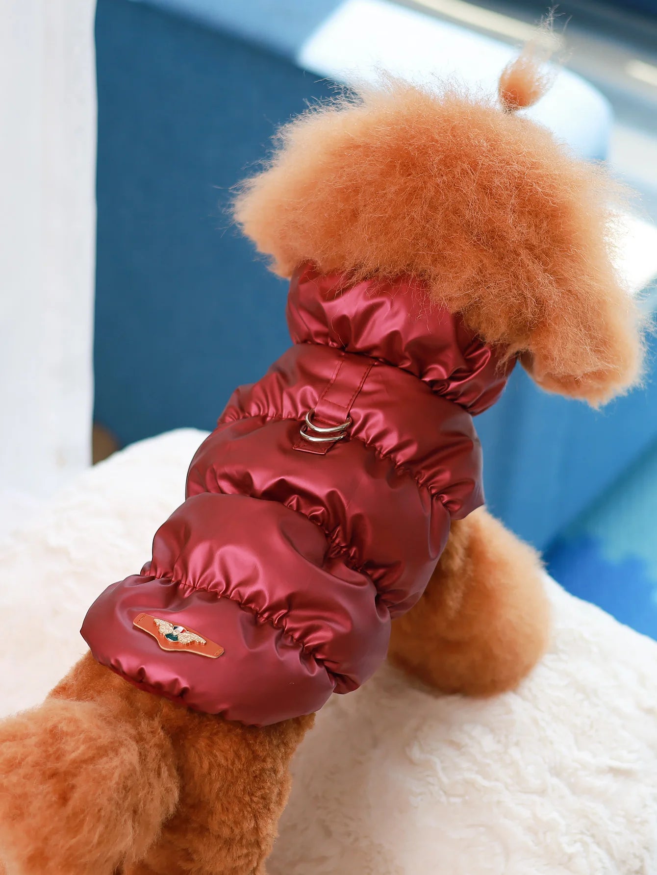 A fluffy brown dog wears a glossy, metallic red, padded winter jacket with a harness D-ring on the back.