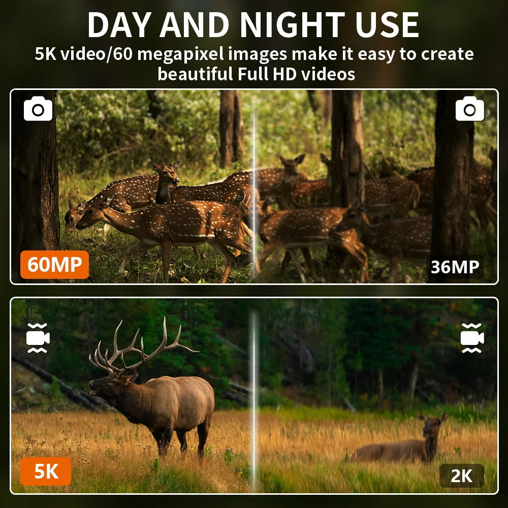Split-screen comparison showing 60MP and 5K wildlife photos and videos versus lower quality 36MP and 2K alternatives.