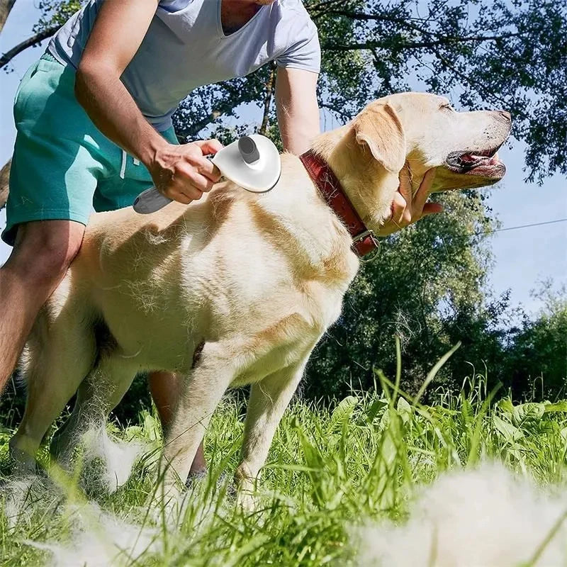 A person brushes a yellow Labrador outdoors using a white, self-cleaning dog slicker brush.