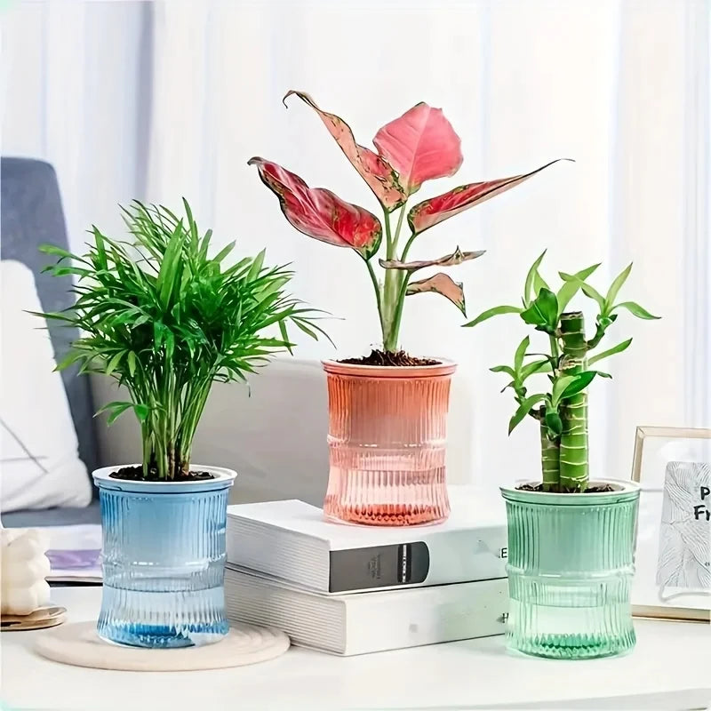 Three colorful, fluted, self-watering plastic pots holding house plants on a table, with water visible at the base.
