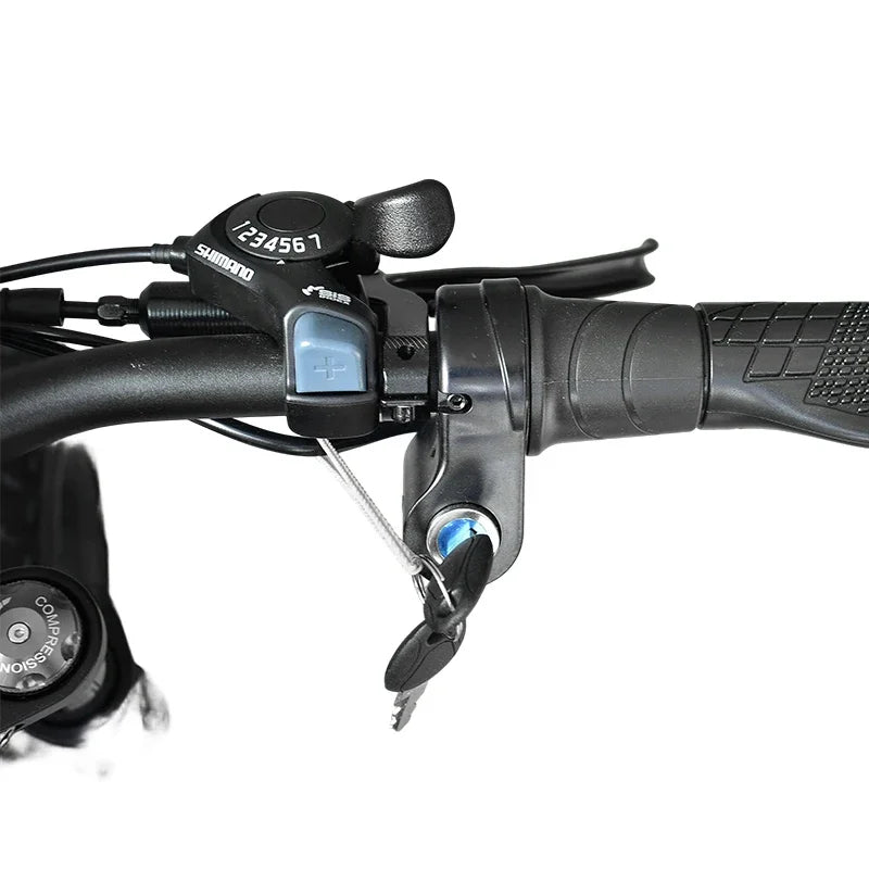 3500W Powerful motor 48V 60AH lithium battery 20 Inch Fat Tire