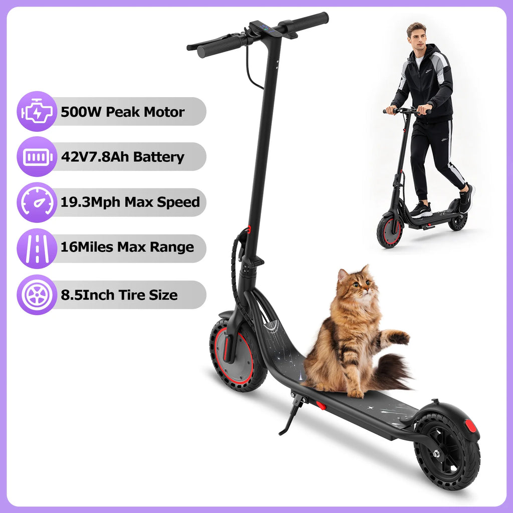 Black foldable electric scooter with 8.5-inch tires, a fluffy cat sitting on the deck, and specs on the left.