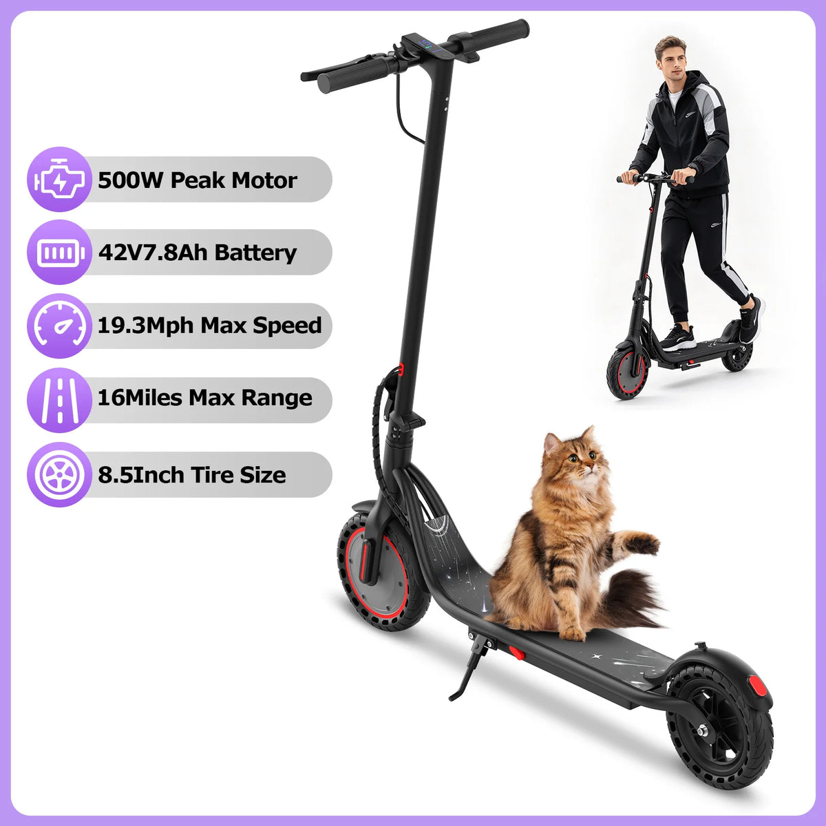 Black foldable electric scooter with 8.5-inch tires, a fluffy cat sitting on the deck, and specs on the left.