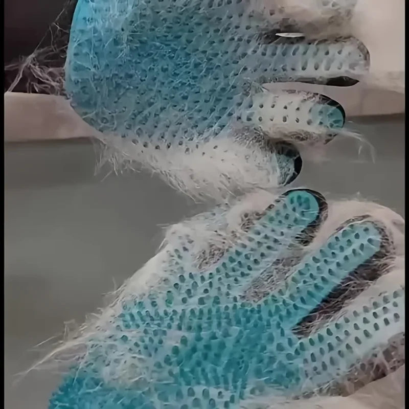 Blue pet grooming glove covered in white animal fur, featuring rubber nubs for detangling and removing shed hair.