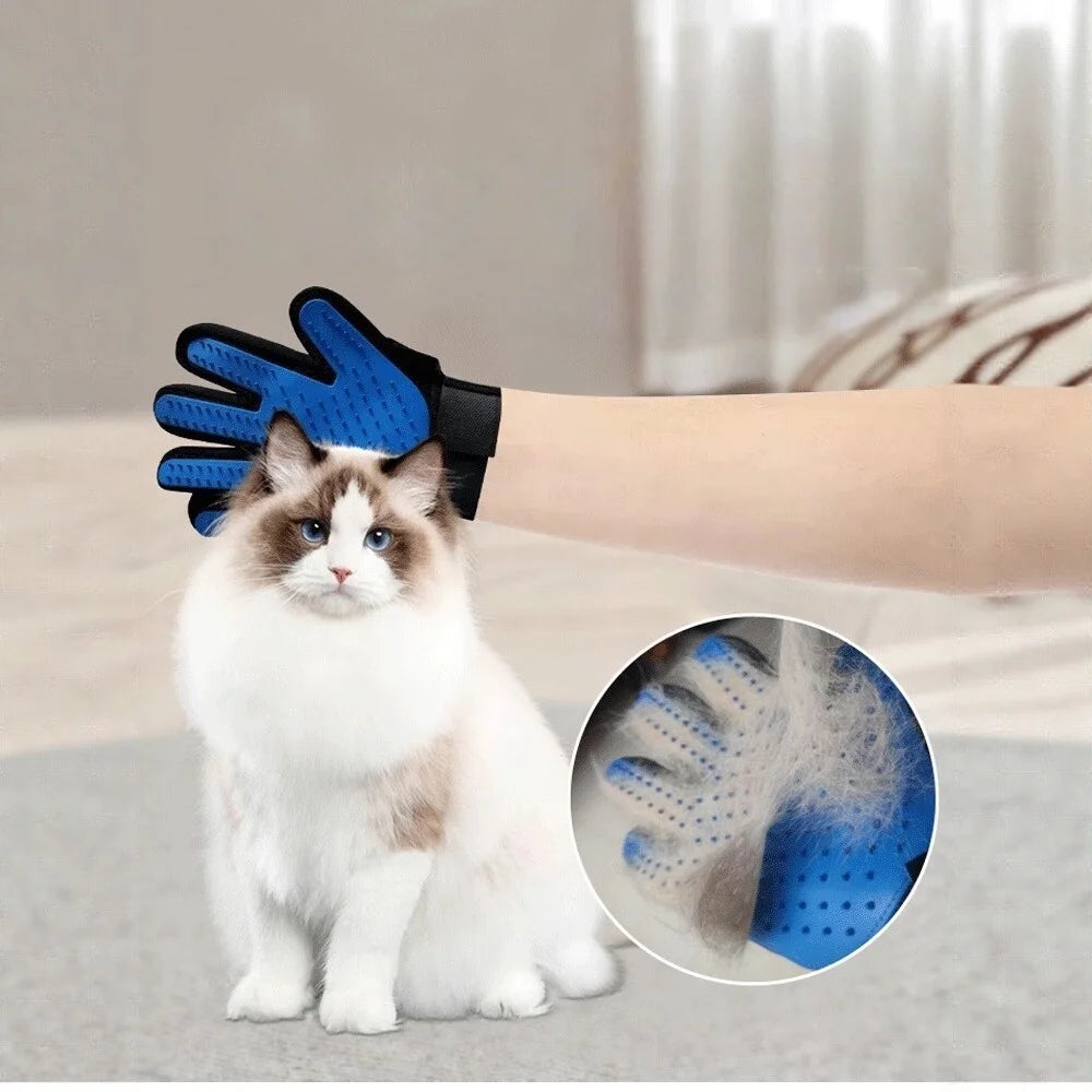 Blue rubber pet grooming glove with silicone bristles being used to brush a fluffy cat, showing shed hair removal.
