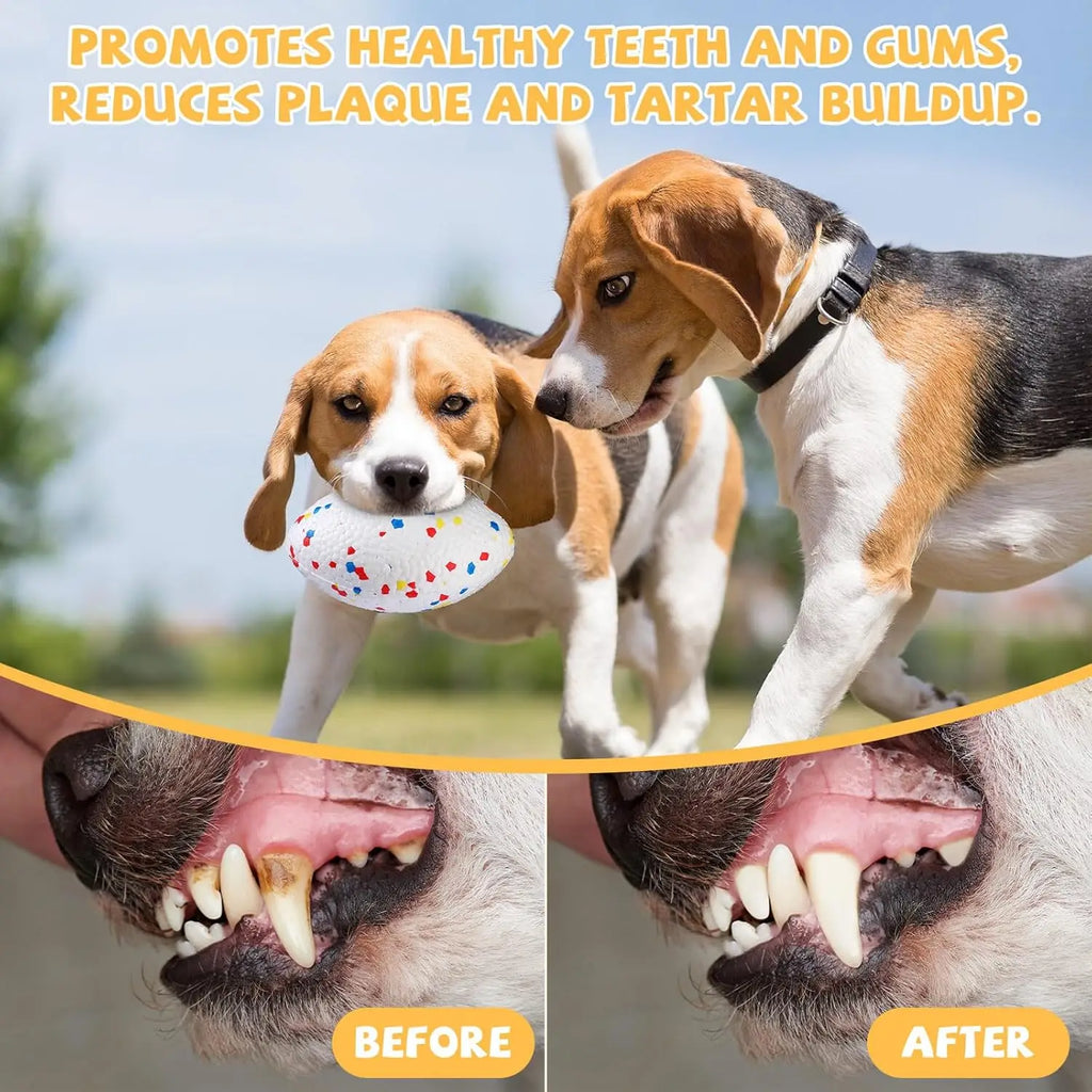 Two Beagles playing with a white, multi-coloured confetti-patterned indestructible dog football for dental health.