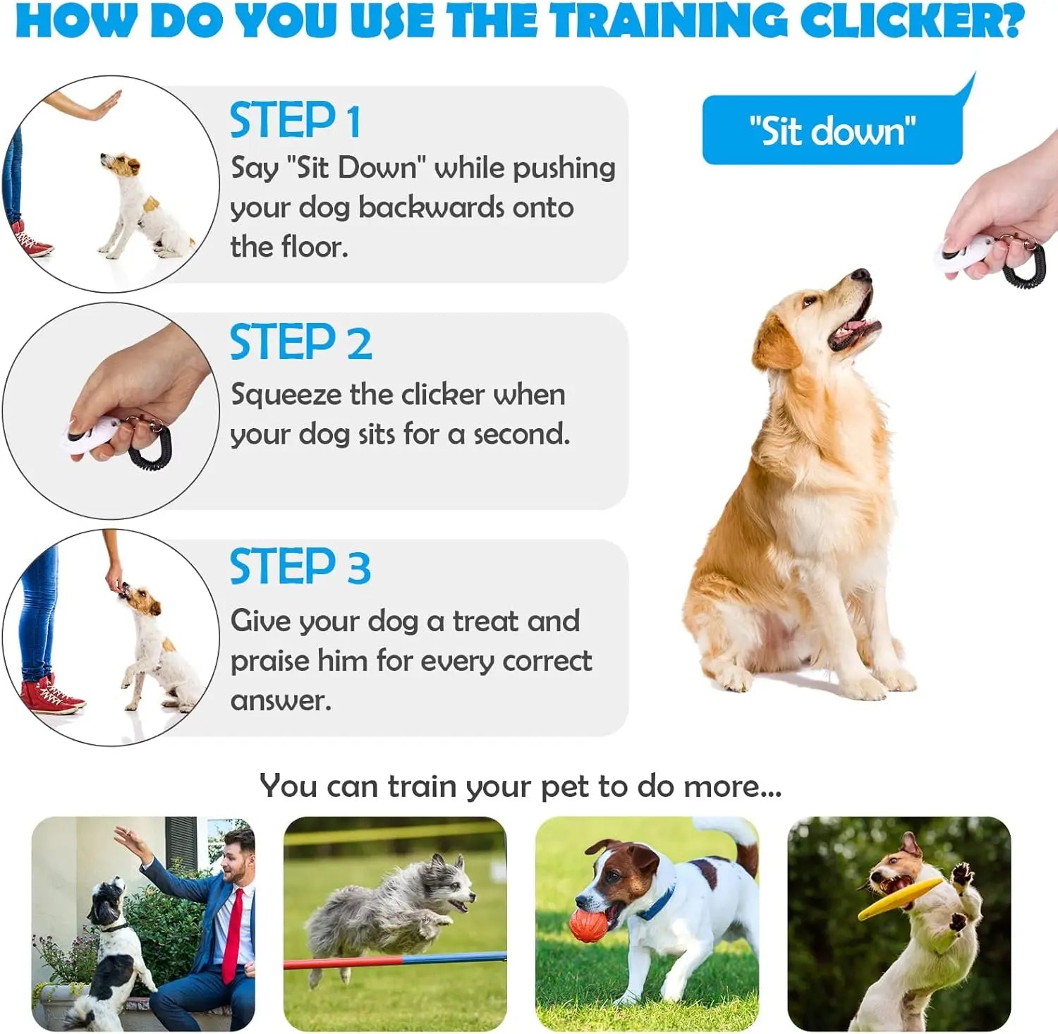 White dog training clicker with wrist strap, shown in a three-step guide for teaching your pet to sit.