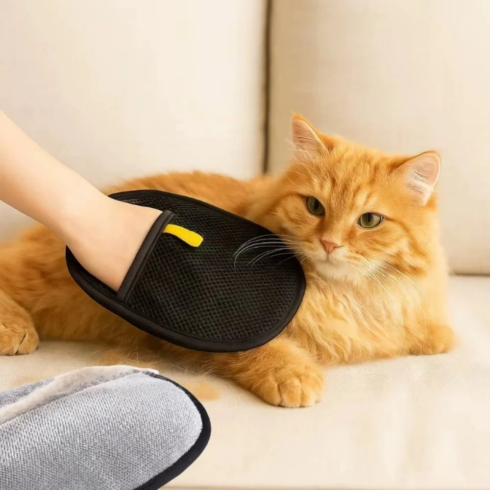 A person uses a black mesh grooming glove to brush a fluffy ginger cat resting on a neutral sofa.