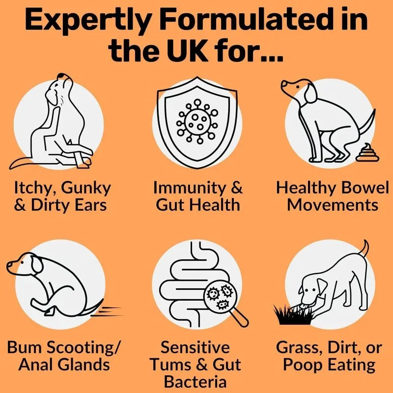 Orange infographic illustrating pet health benefits: itchy ears, immunity, digestion, anal glands, and stool habits.