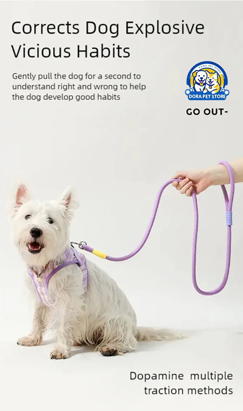 A Westie wears a lilac checked harness attached to a matching purple rope leash with yellow and lilac contrast details.