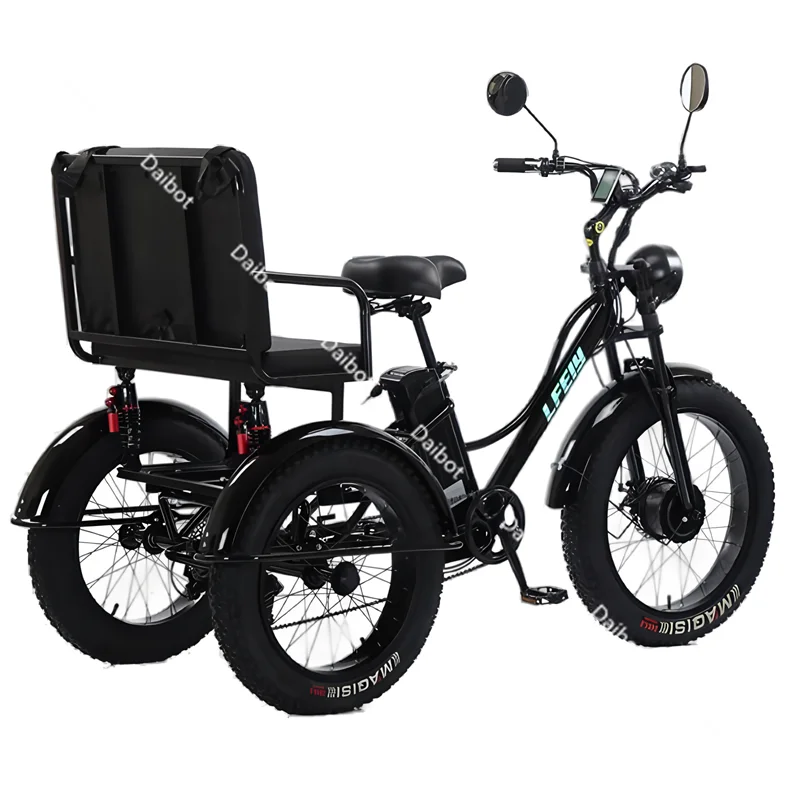 750W Fatbike Electric Bicycle 48V High Power With Passenger Seat