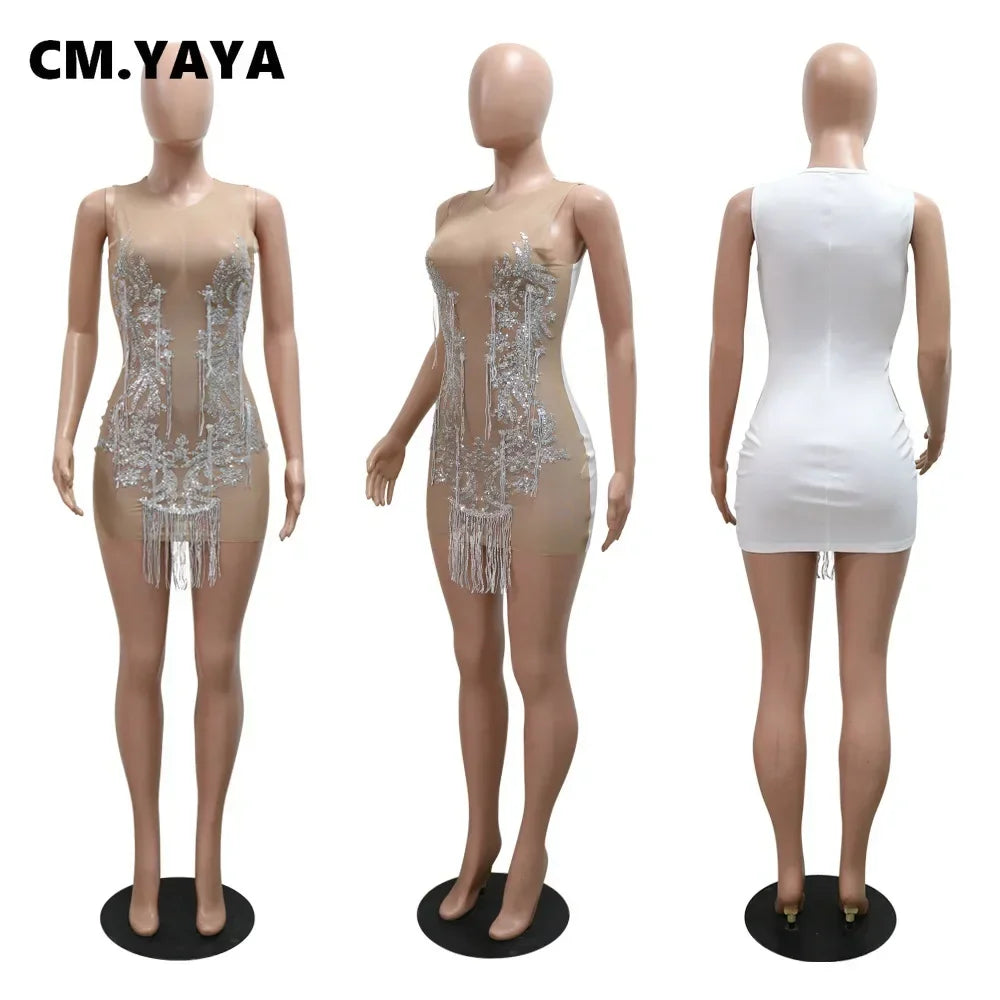 Nude and white sleeveless mini dress with sheer mesh, o-neck, and silver sequin fringe.