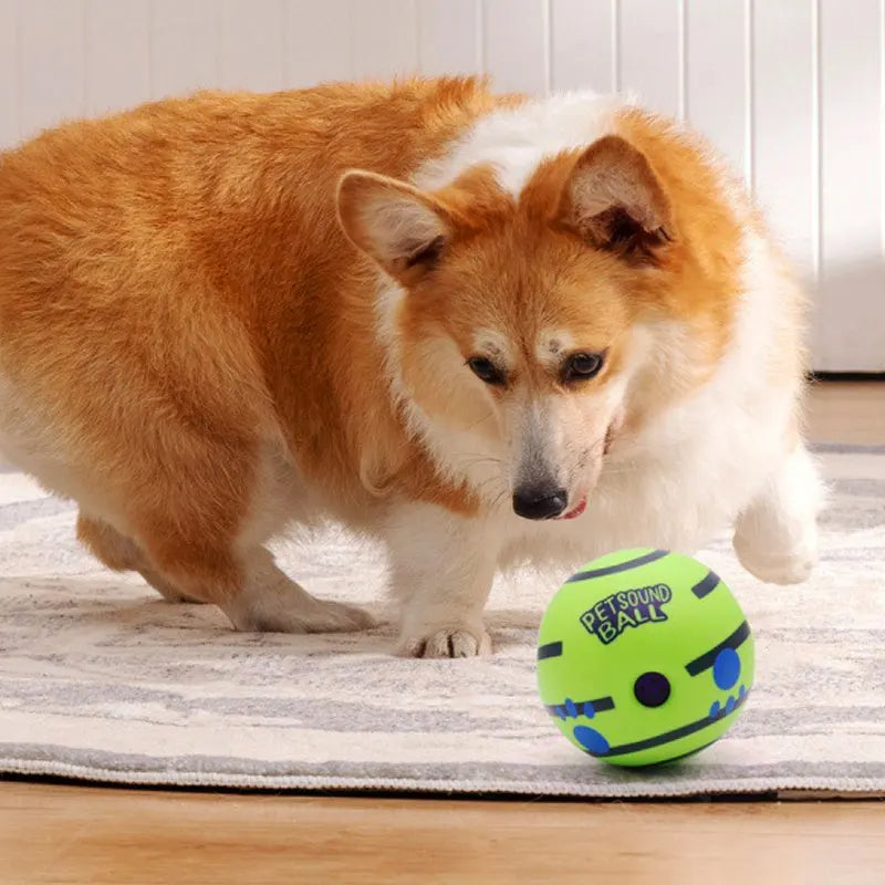A Corgi plays with a vibrant, lime-green interactive ball featuring dark blue accents and cut-out shapes on a rug.
