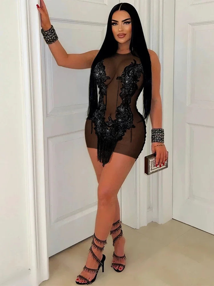 Black sleeveless mini dress featuring sheer mesh, glittering sequins, and fringe detailing.