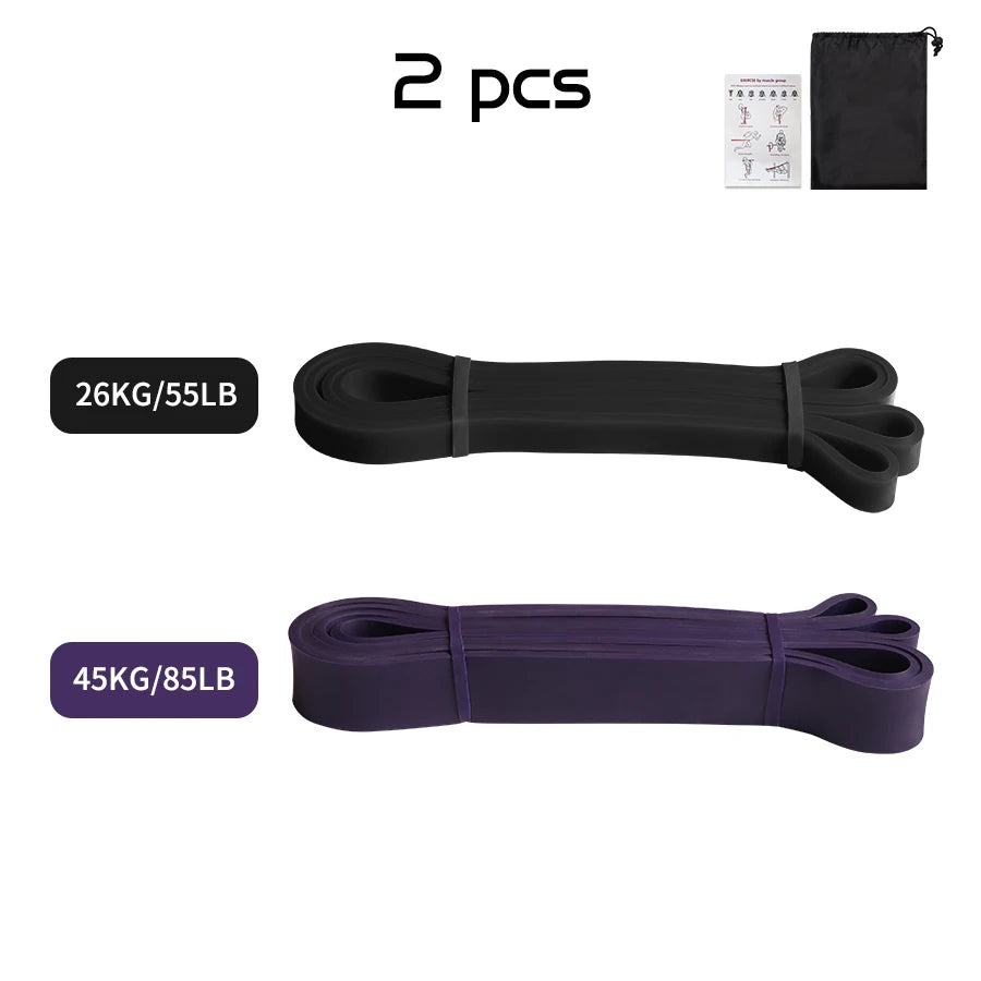 Two resistance bands in black (26kg) and purple (45kg), with a carry bag and exercise guide.