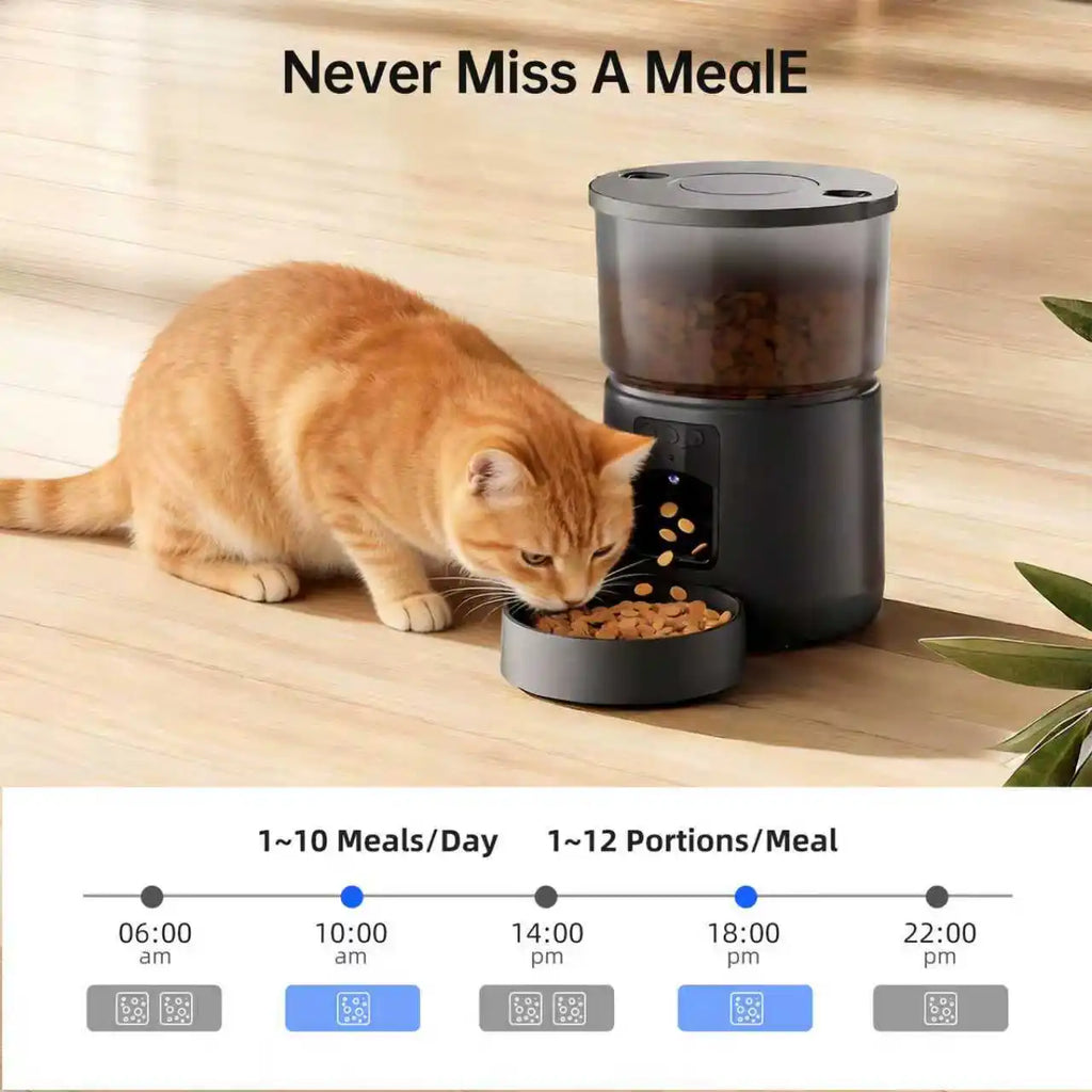 A ginger cat eating from a sleek, matte black smart automatic pet feeder with an HD camera and food storage hopper.