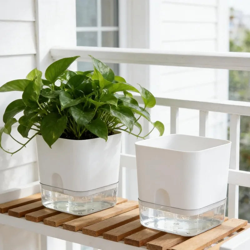 Two modern white, square self-watering plastic planters with clear bases on a wooden slatted shelf; one holds a plant.
