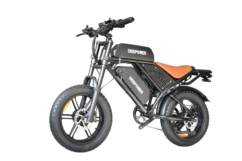 3500W Powerful motor 48V 60AH lithium battery 20 Inch Fat Tire