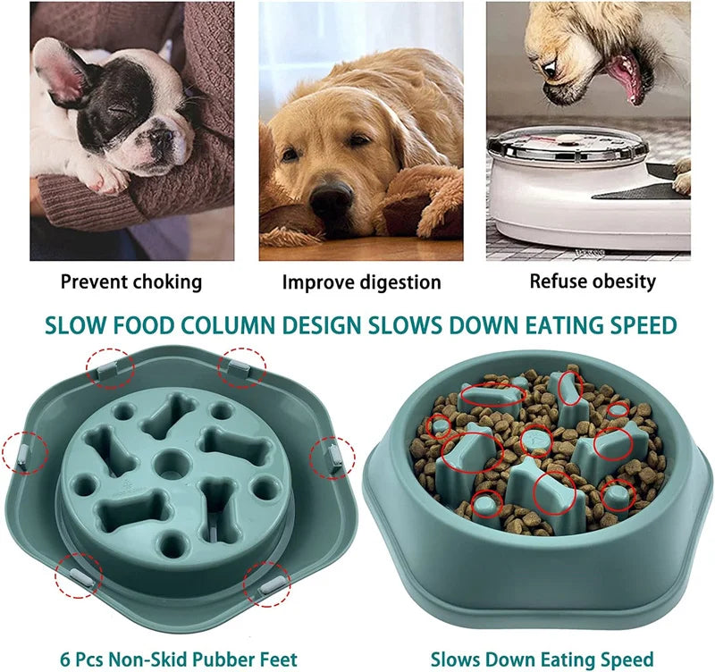 Sage green, hexagonal slow-feeder pet bowl with interior bone-shaped ridges to slow down eating. Non-skid feet included.