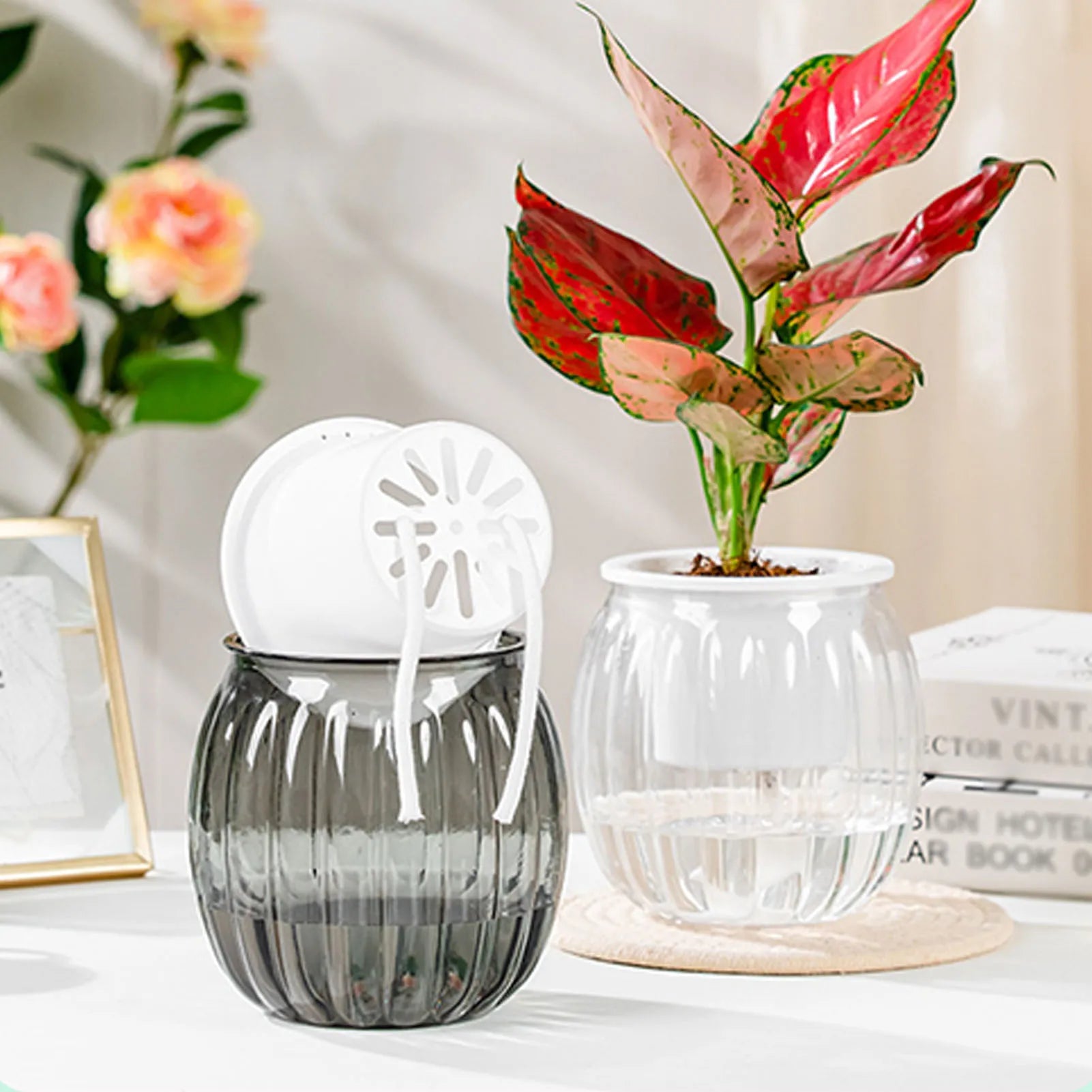 Two round, ribbed self-watering planters with white inner pots and cotton wicks, one containing a red-leafed plant.