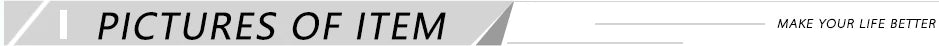 A graphic banner with a grey trapezoid background featuring the black text "PICTURES OF ITEM" and a white vertical bar.