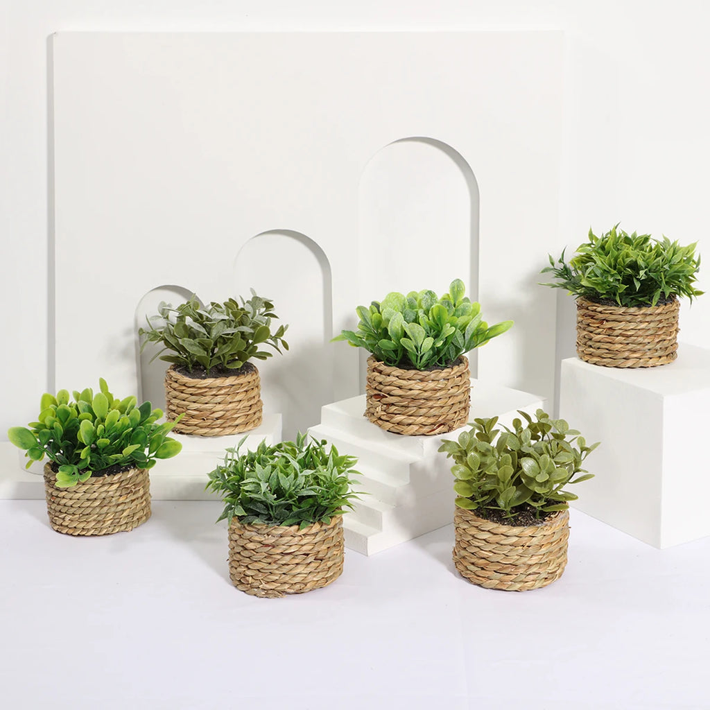Six small artificial green plants in woven rope pots arranged on white tiered pedestals against an arched background.