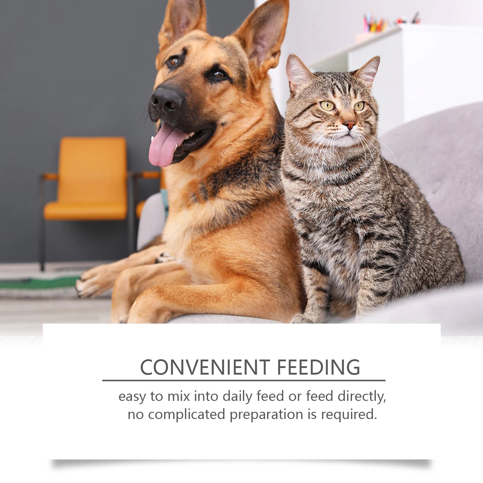 A German Shepherd and a tabby cat sitting together on a sofa, promoting convenient, easy-to-use pet food.