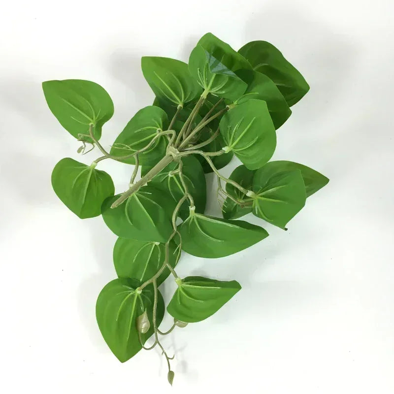 A top-down view of an artificial green trailing vine with heart-shaped leaves on a white background.