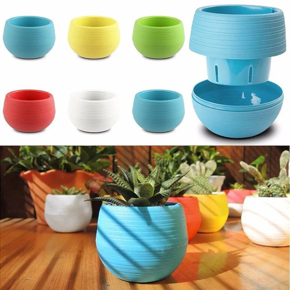 Set of colorful, round, ribbed plastic plant pots in blue, yellow, green, red, and white, shown with potted succulents.