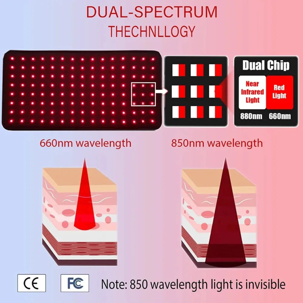 Infrared red light therapy device panel showing dual-chip 660nm and 850nm wavelengths penetrating skin layers.