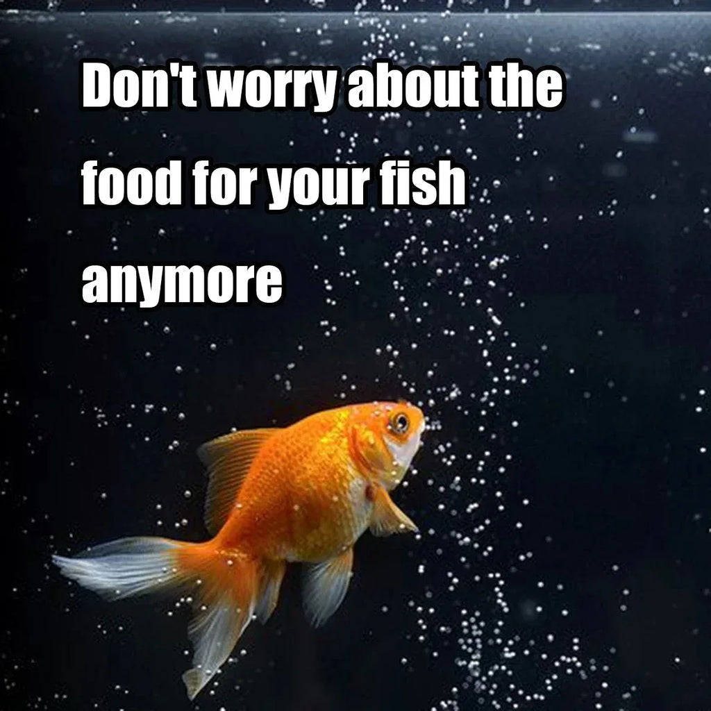 A bright orange goldfish swims against a dark, bubbly background with the text, "Don't worry about the food anymore."