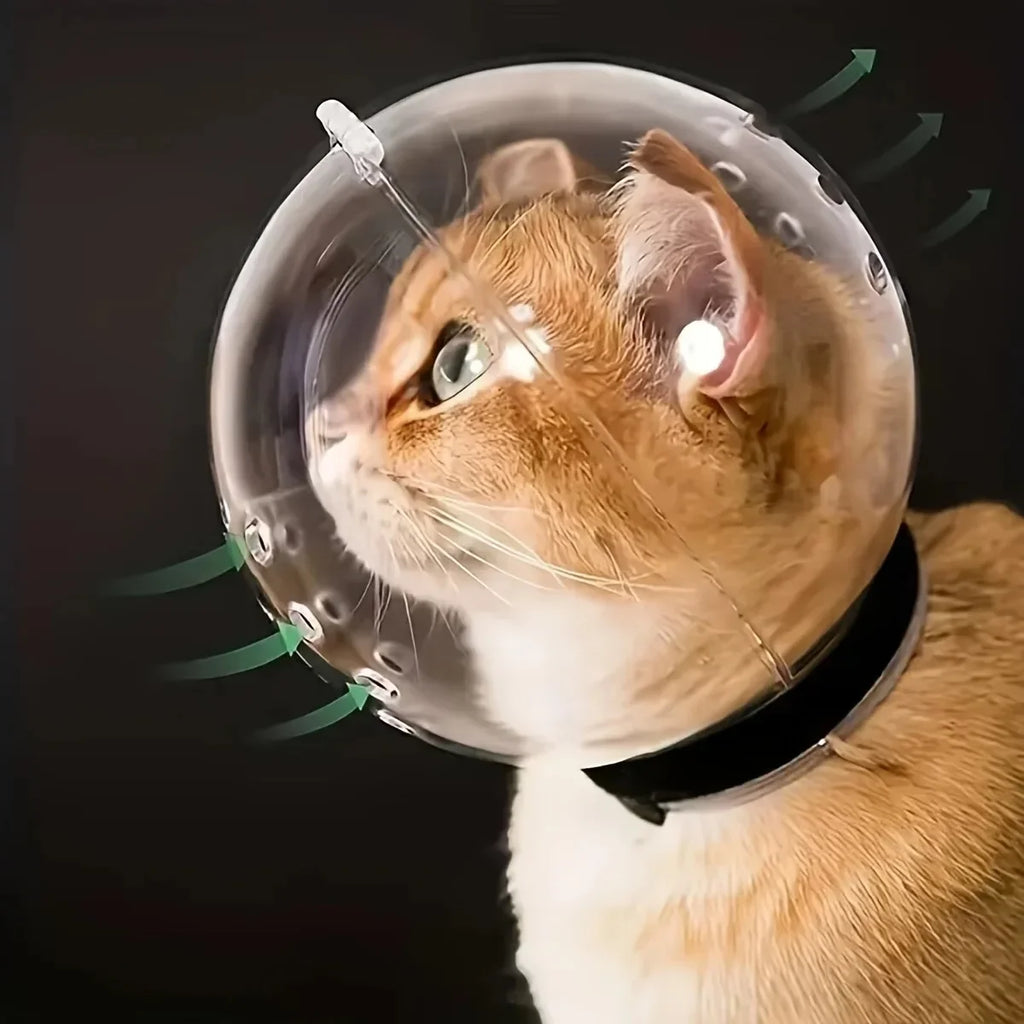 Clear, breathable grooming ball on a ginger cat, featuring airflow vents and a black neck collar.