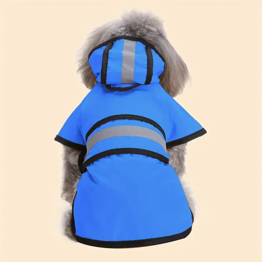 Small fluffy dog wearing a bright blue, waterproof raincoat with a hood and reflective silver safety stripes.