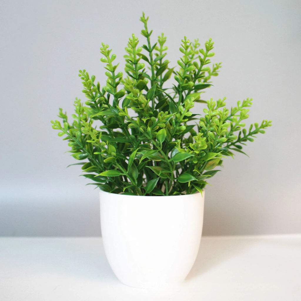 A small artificial green plant with delicate, spiky leaves in a simple, minimalist white rounded pot.