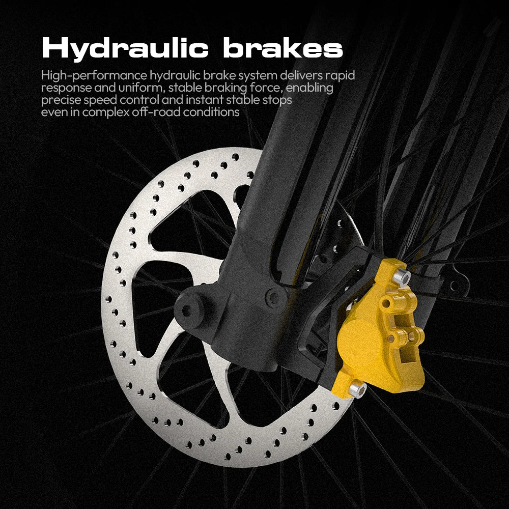 COSWHEEL R6000 6000W Dual Motor 60V 30AH ,Dual Suspension