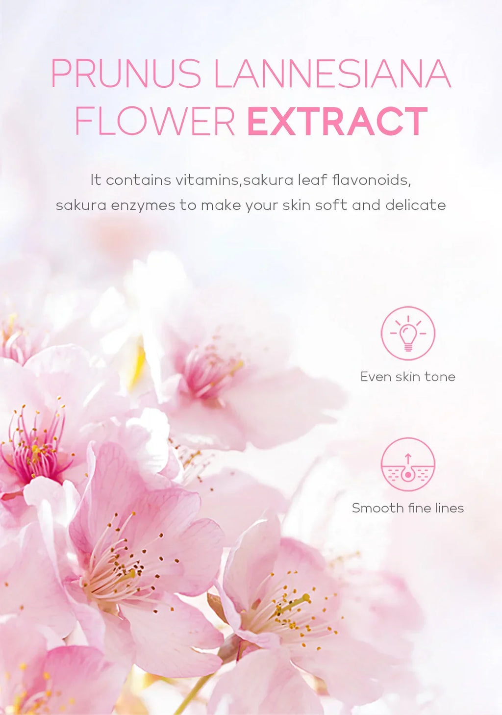 Pink sakura flowers on a soft background, promoting skin benefits like even tone and smooth fine lines.