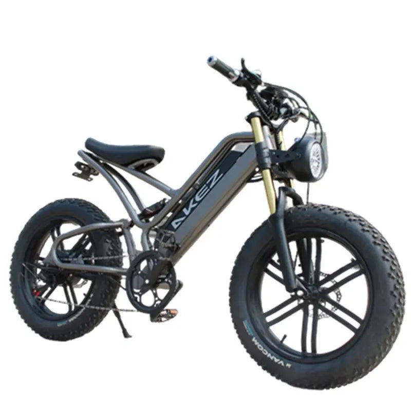 Powerful Electric bike 750W 48V Fat Tire bike