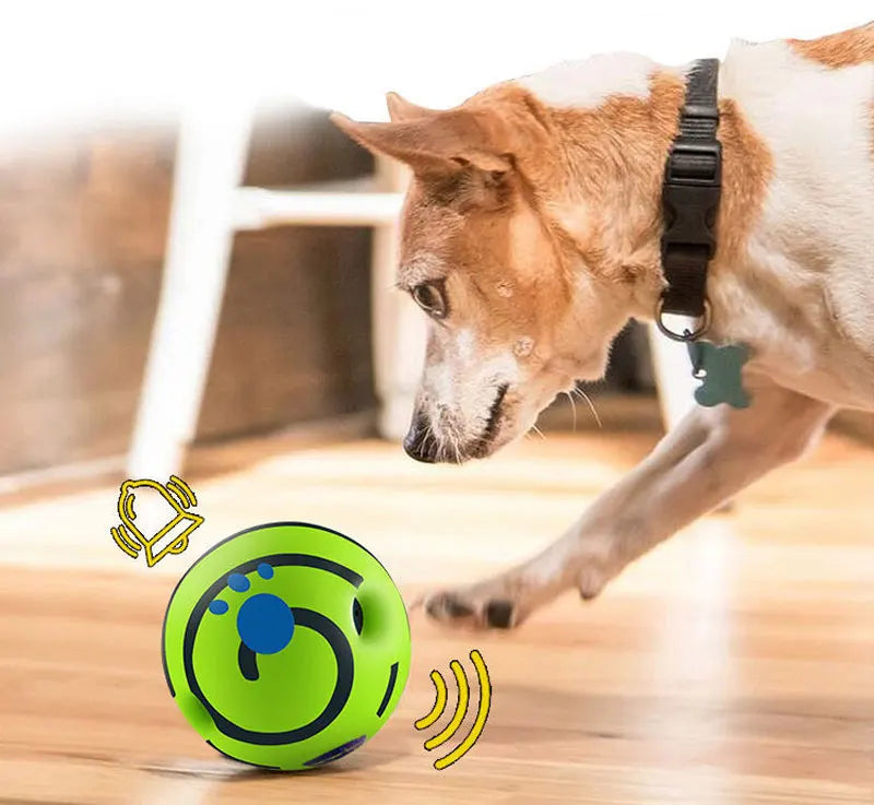 A dog playing with a bright green interactive ball featuring black swirl patterns and paw prints on a wooden floor.