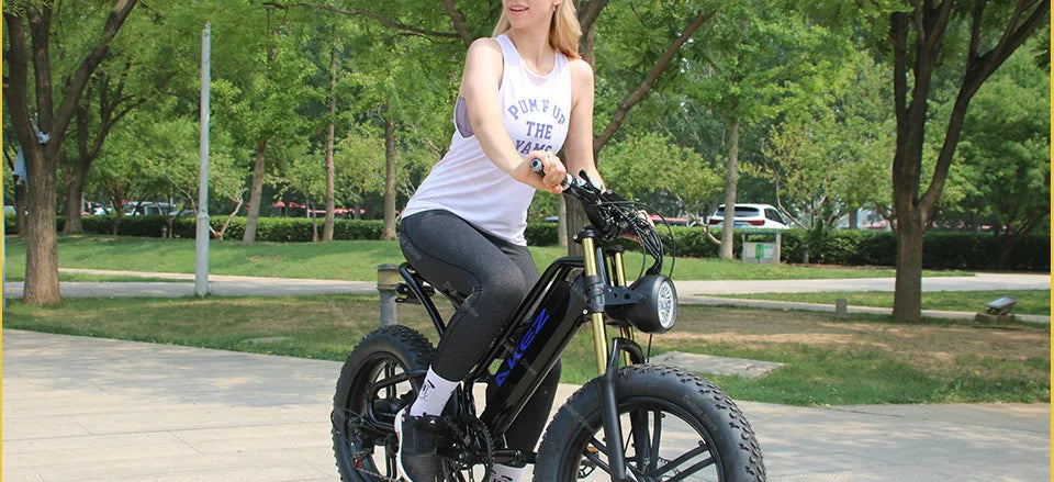 Powerful Electric bike 750W 48V Fat Tire bike