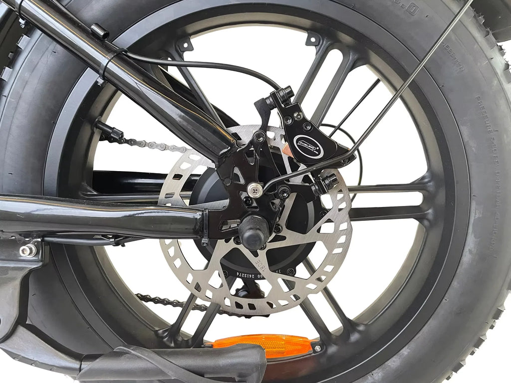 3500W Powerful motor 48V 60AH lithium battery 20 Inch Fat Tire