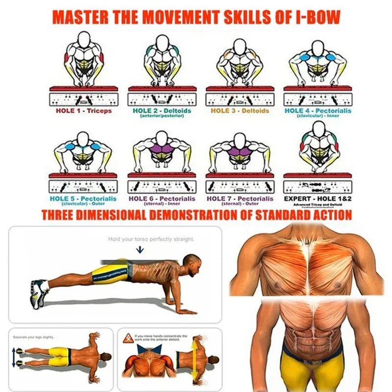 A guide showing push-up board exercises, highlighting target muscle groups for triceps, deltoids, and pectoral muscles.