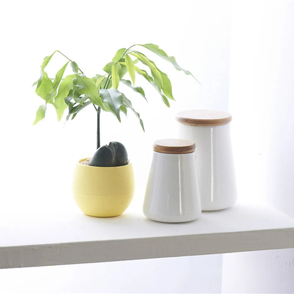 A round yellow planter with a small green plant beside two white canisters with wooden lids on a white shelf.