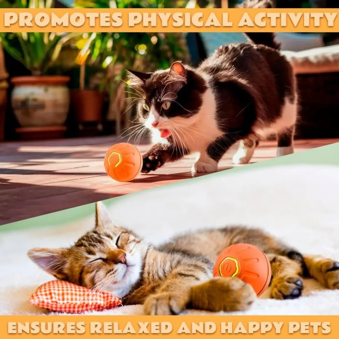 An orange interactive electric toy ball with a power button, shown being played with and resting beside a cat.