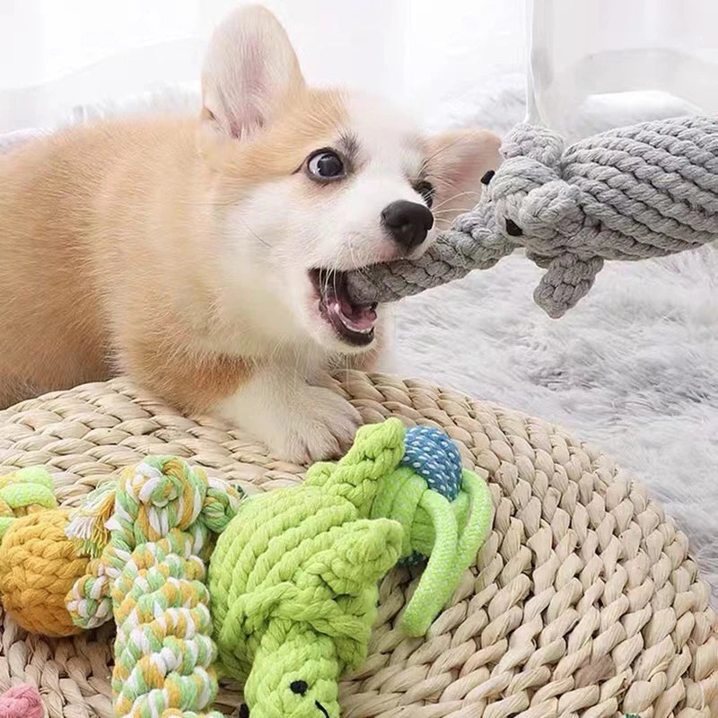 A Corgi puppy playing with a grey animal-shaped woven rope toy, with more colourful rope dog toys on a straw mat.