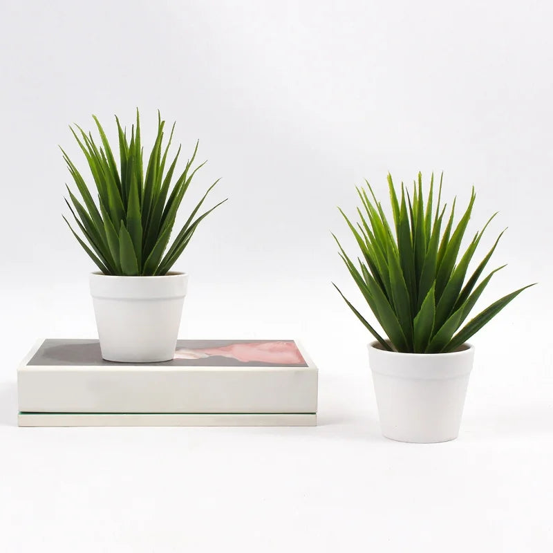 Two artificial spikey green plants in small white pots, one set on a decorative book, against a white background.