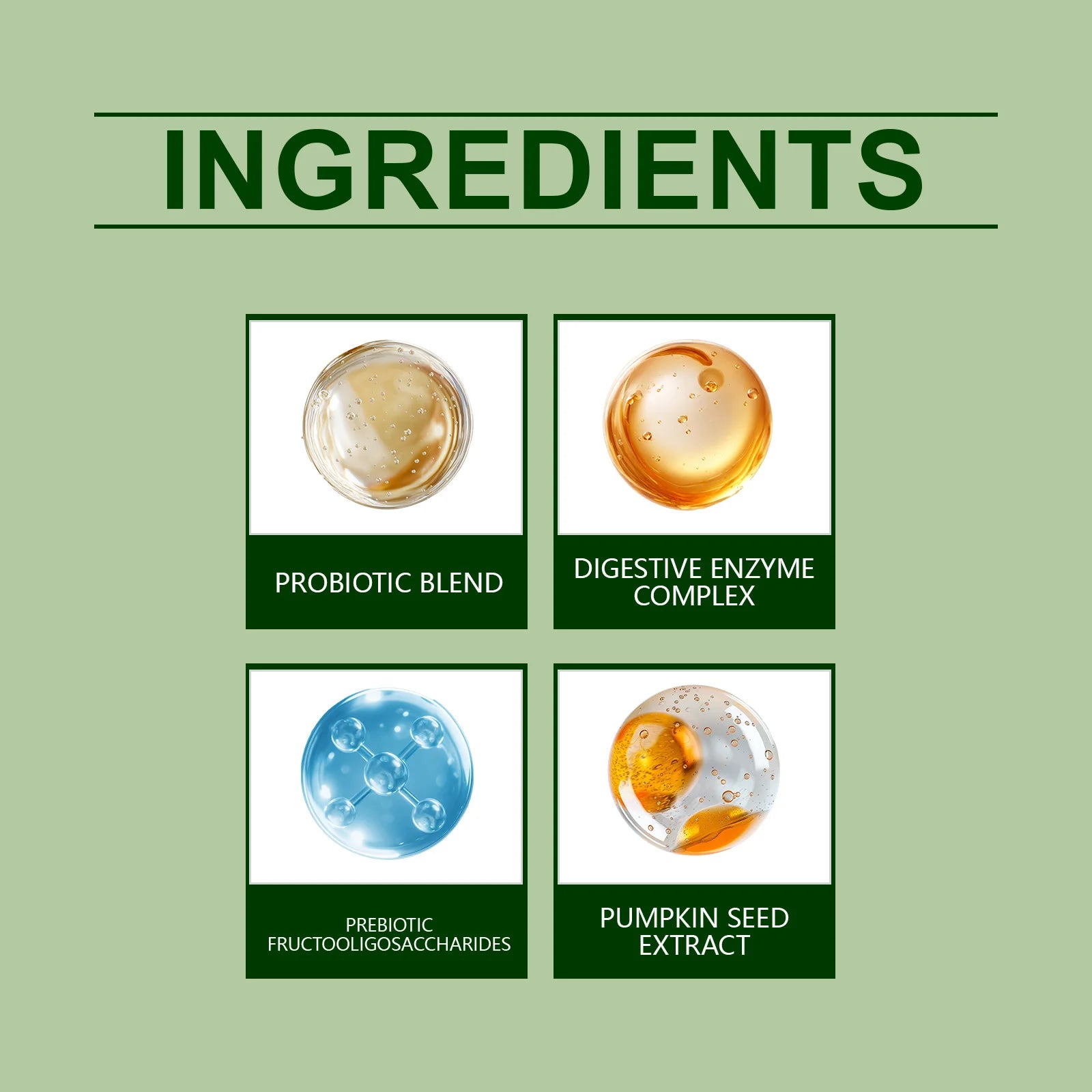 Infographic showing supplement ingredients: Probiotic blend, digestive enzymes, prebiotics, and pumpkin seed extract.