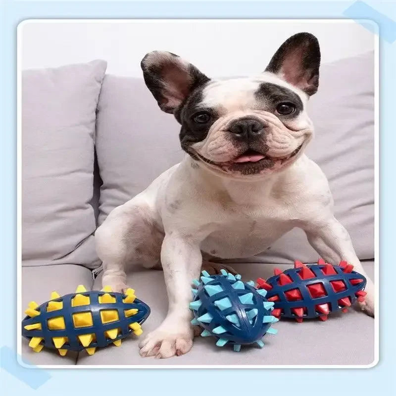 A French Bulldog sitting on a sofa with three durable, spiky, lattice-style rubber rugby ball dog toys.