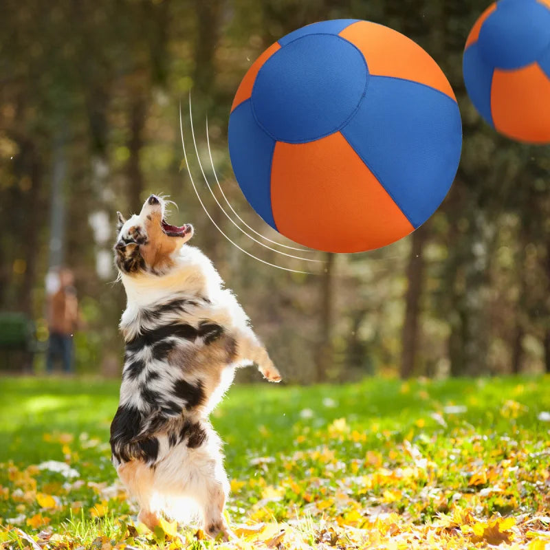 A spotted dog playfully jumps to catch a bright blue and orange fabric-covered interactive ball in a park.