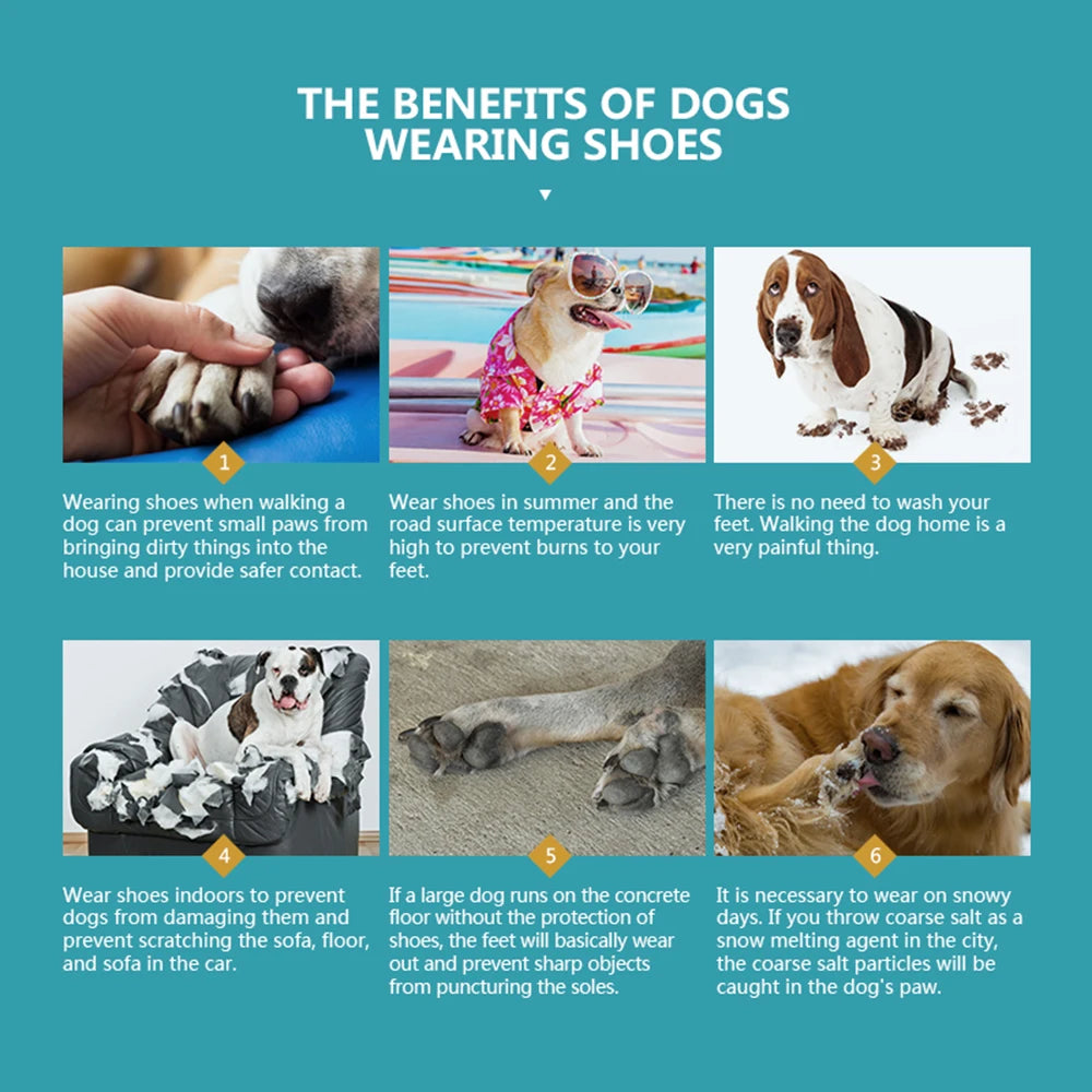 Infographic showing six scenarios where waterproof, non-slip dog boots protect paws from dirt, heat, salt, and damage.