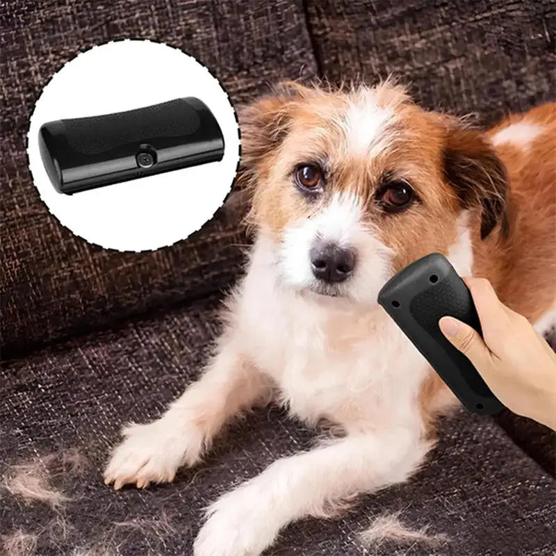 Black handheld pet hair remover being used on a small, fluffy terrier dog on a dark sofa.